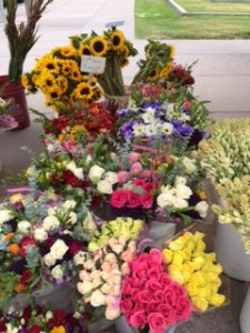 Friday Farmer's Market