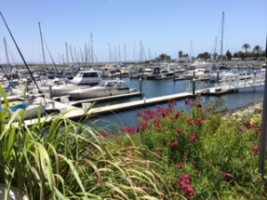 Cool off with lunch at the bay