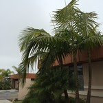 What gives me a case of the Mondays? June Gloom!