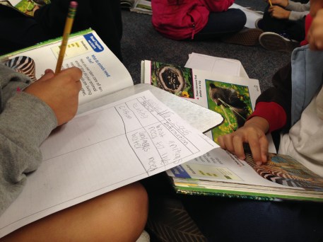 Primary students hard at work