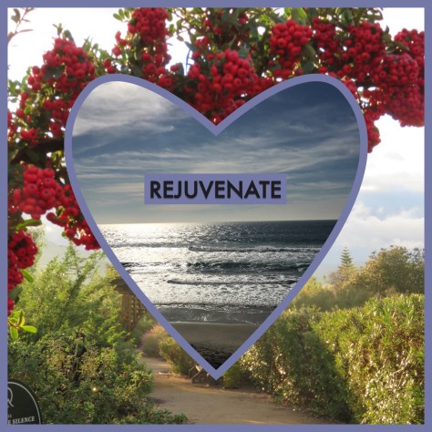 Rejuvenate 2016