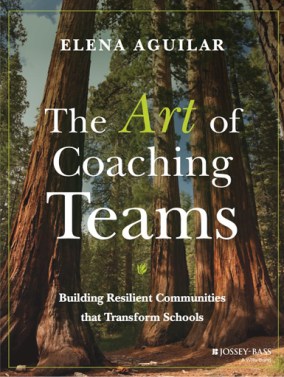 art of coaching teams